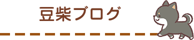 豆柴ブログ