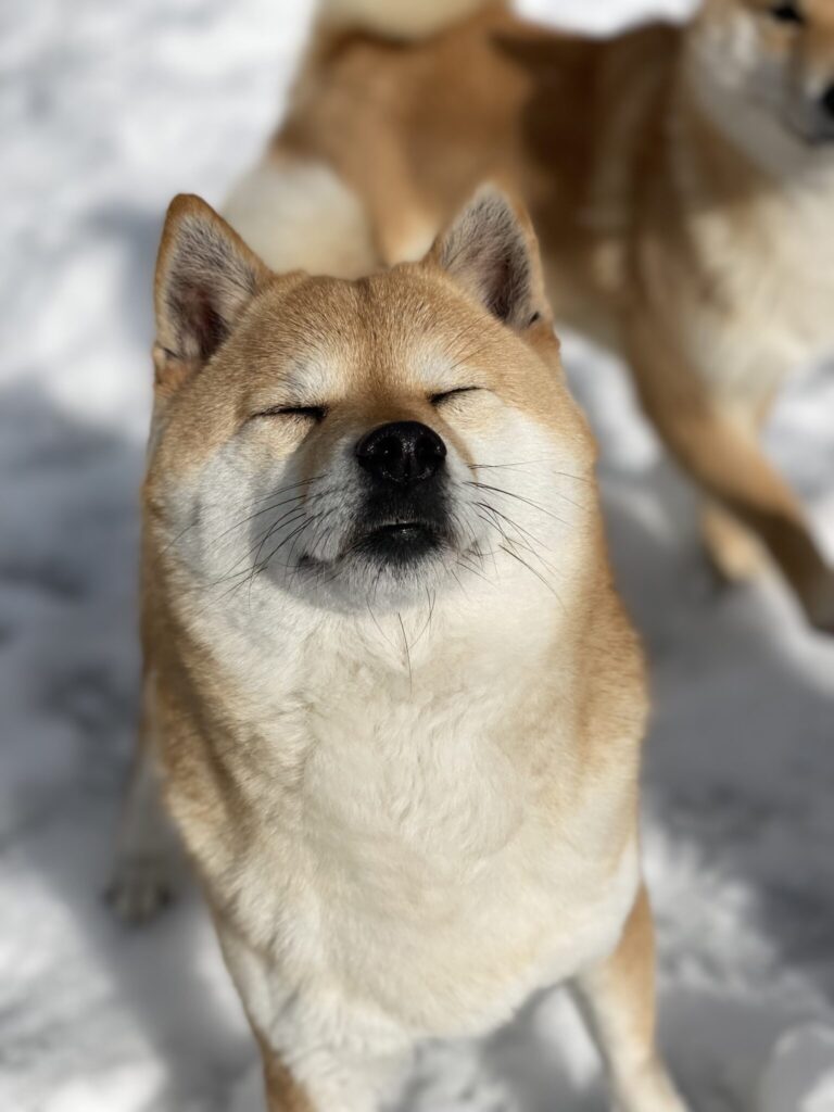 赤ちゃんが産まれました❤