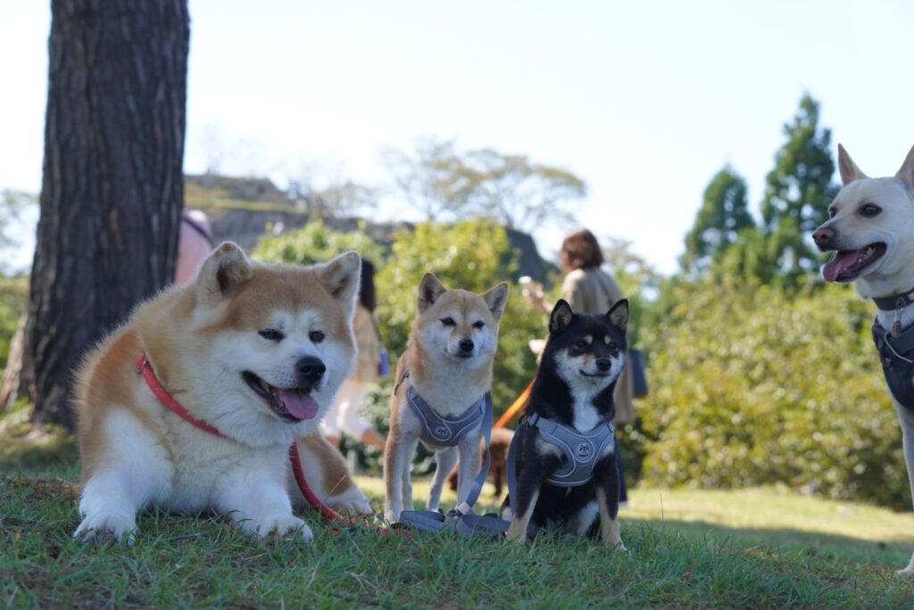 GWはいかがお過ごしでしょうか？