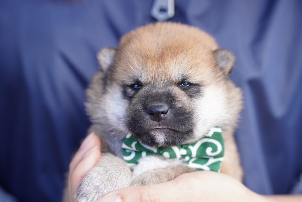 11月の予定です！🍂